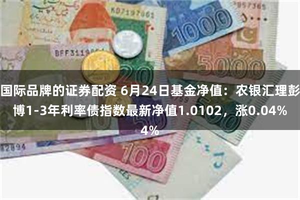 国际品牌的证券配资 6月24日基金净值:农银汇理彭博1-3年利率债指数最新净值1.0102,涨0.04%