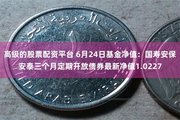 高级的股票配资平台 6月24日基金净值：国寿安保安泰三个月定期开放债券最新净值1.0227