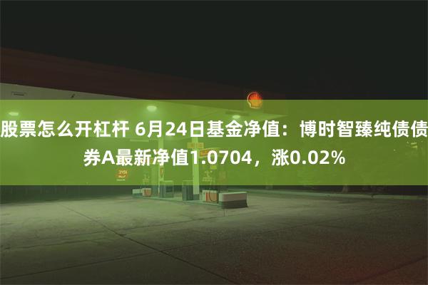 股票怎么开杠杆 6月24日基金净值：博时智臻纯债债券A最新净值1.0704，涨0.02%