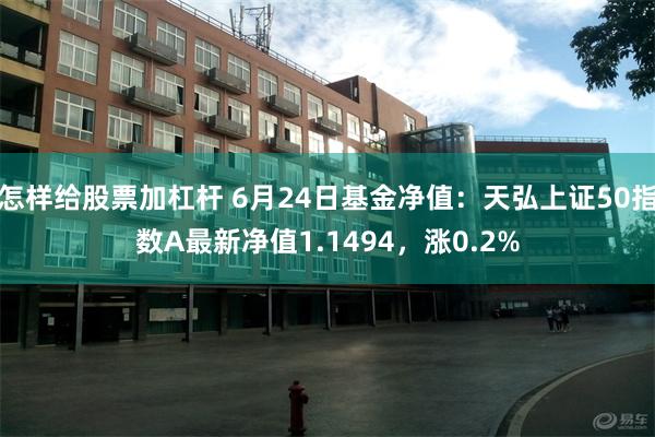 怎样给股票加杠杆 6月24日基金净值：天弘上证50指数A最新净值1.1494，涨0.2%