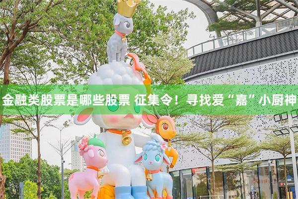 金融类股票是哪些股票 征集令！寻找爱“嘉”小厨神