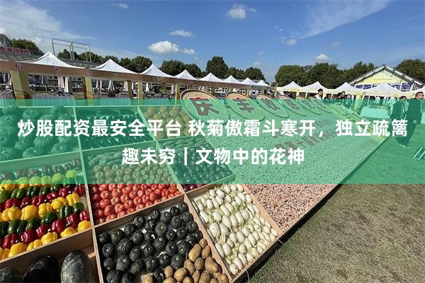 炒股配资最安全平台 秋菊傲霜斗寒开,独立疏篱趣未穷|文物中的花神