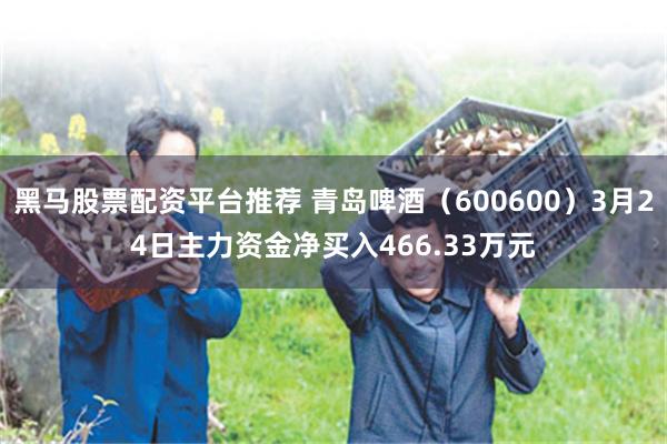 黑马股票配资平台推荐 青岛啤酒(600600)3月24日主力资金净买入466.33万元