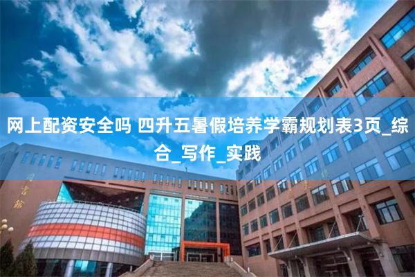 网上配资安全吗 四升五暑假培养学霸规划表3页_综合_写作_实践